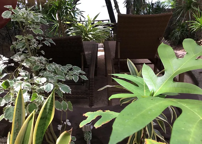 Sun & Sea